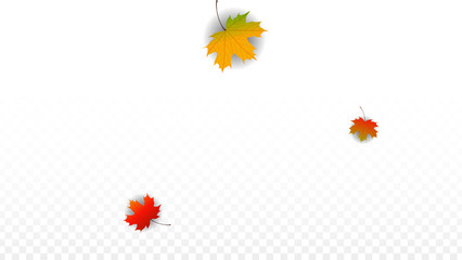 September Vector Background with Golden Falling Leaves. Autumn Illustration with Maple Red, Orange, Yellow Foliage. Isolated Leaf on Transparent Background. Bright Swirl. Suitable for Posters.