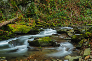 Naklejka na ściany i meble Autumn in the primeval forest. Bieszczady Mountains. Rzeka stream. Bieszczady National Park