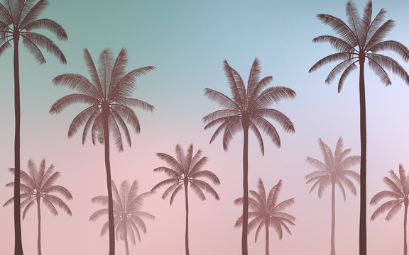 group of Silhouette palm tree on Vintage blue color sky background