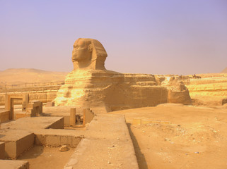 sphinx in giza, egpyt