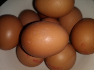 Fresh eggs picked up from farm