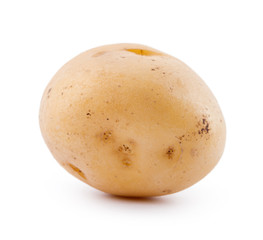 raw yellow potato isolated on white background