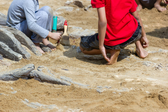 Children learning about, Excavating dinosaur fossils simulation in the park.