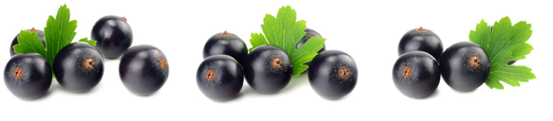 black currant with green leaf isolated on white background. macro