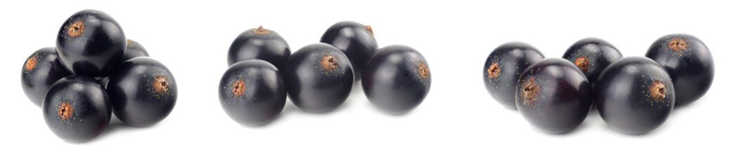 black currant isolated on white background. macro