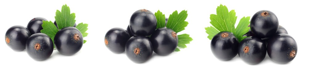 black currant with green leaf isolated on white background. macro