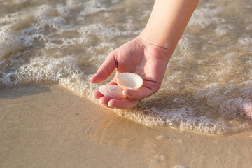 girl picks up a shell from the sand