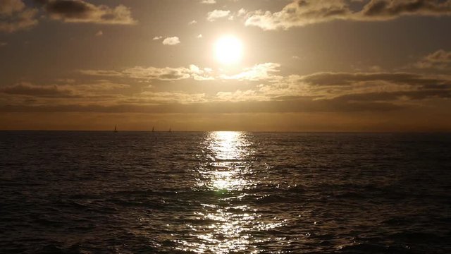 Sail boat race horizon sunset sea