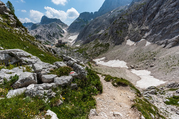 Mount Canin plateau. Karst garden. Between rocks, flowers and old military works.