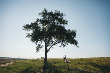 A young married couple is standing under a big green tree on a sunny day in the summer. A boyfriend and a girlfriend enjoy romantic summer days. Young man and woman in love.