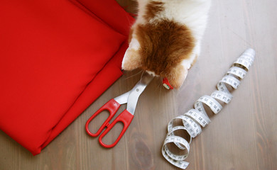 Fabric, scissors, thread, measuring tape. Sewing supplies. The red cat sits among sewing accessories.