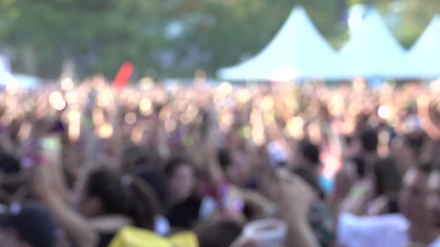 Footage of blurred crowd partying, dancing at a concert or dj party.  Slow motion.