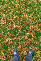 Feet of a man over the colorful fallen leaves on green grass