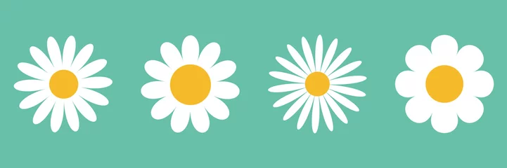 Fotobehang Camomile icon set. White daisy chamomile. Cute round flower plant collection. Growing concept. Love card symbol. Flat design. Green background. Isolated. © worldofvector