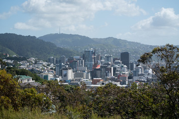 View of Wellington, capital of New Zealand