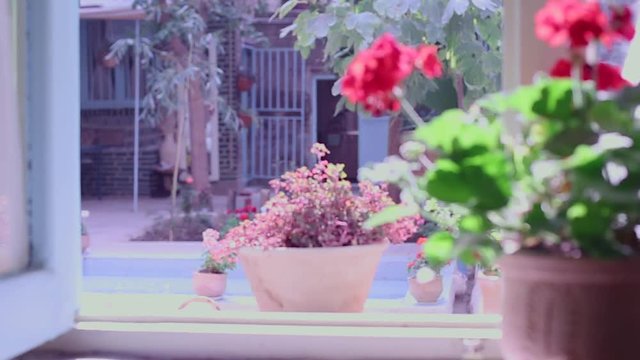 Sit down on the window. Go through the life .