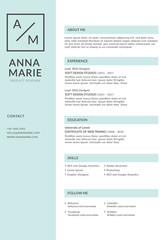 Simple and Clean Resume