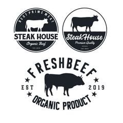 Vintage Cattle. Steak House / Beef logo design inspiration. Grill Restaurant emblem - Vector