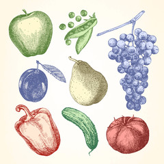 Hand-drawn illustration of vegetables and fruits, vector