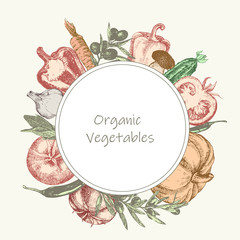 Hand-drawn illustration of vegetables. Vector