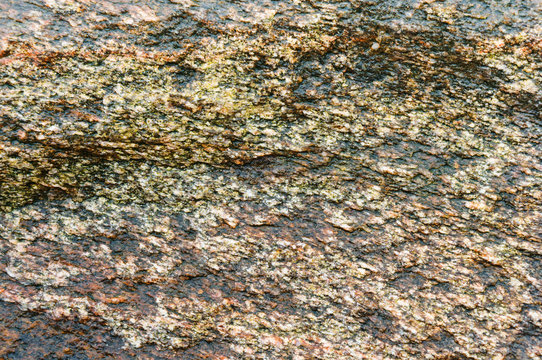 Sea stone texture. Panel texture. Spots gray red background. Background fill. Natural stone background.