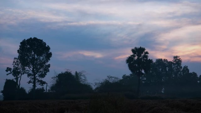 Timelapse of sunrise in countryside of Thailand with sugar palm tree.