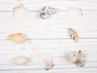 Collection of seashells forming a frame on a worn white wooden background (top view, copy space in the center for your text)