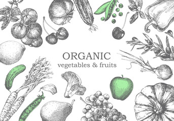 Hand-drawn illustration of vegetables and fruits. Vector