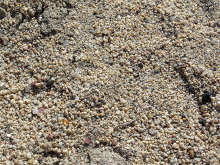 Textured gray sand gravel ground background