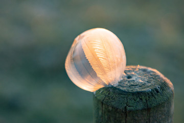 Gefrorene Seifenblasen im Sonnenaufgang