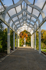 Pathway on Hamilton Gardens