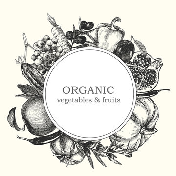 Hand-drawn illustration of vegetables and fruits. Logo design. Vector