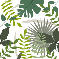 Urwald © Jana Mossmann