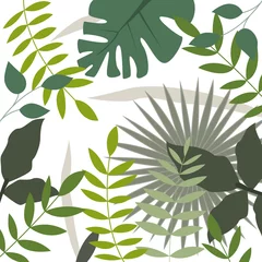 Urwald © Jana Mossmann