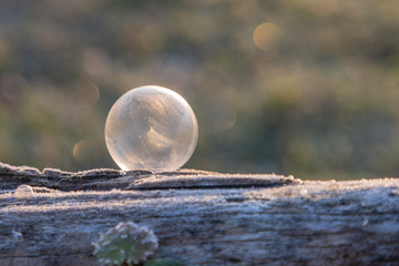 Gefrorene Seifenblasen im Sonnenaufgang