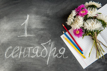Back to school concept. Book and astra flowers on black board. 1 of September day.