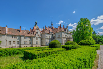 Fototapeta na wymiar Historical medieval castle Shenbornov