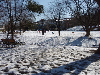 大雪の日 井の頭恩賜公園
