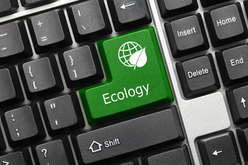 Conceptual keyboard - Ecology (green key)