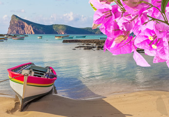 bougainvillées sur plage de Coin de Mire, Maurice 