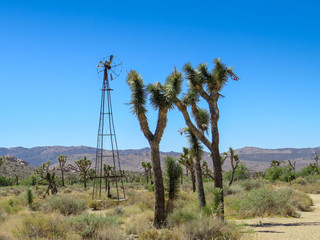 Obraz premium Old windmill in Joshua Tree with trees and scenic desert