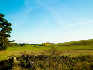 Fototapeta premium End of summer - autumn trees and fields. Mechelinki, Poland.
