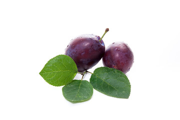 Group of ripe plums with leaf isolated on a white background.