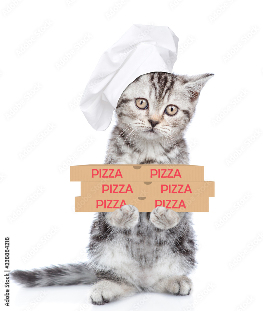 Poster funny cat in chef's hat with pizza boxes. isolated on white background