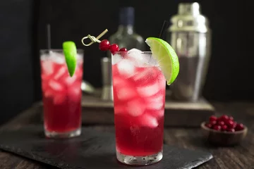Tuinposter Cranberry Wodka Cocktail © mizina