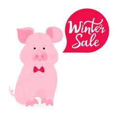 Obraz na płótnie Canvas A pig in a bow tie. Winter sale hand lettering. Advertising poster
