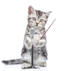 Obraz premium Kitten with microphone and pointing stick. isolated on white background