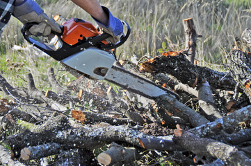 Close-up of woodcutter sawing chain saw in motion, sawdust fly to sides.