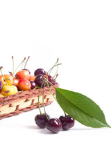 Yellow and red sweet cherry in basket with green leaf isolate on white.