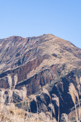 Aso mountain and dry brown grassland with miscanthusm in autumn, blue sky.